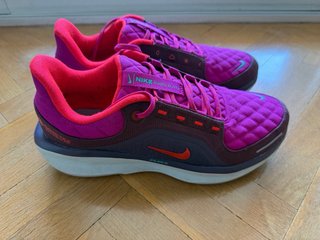 Nike Air Zoom Pegasus 41 Gore Tex