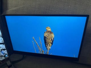 Extensor Pantalla Portatil 0.17 "Ultra-Fino 302998