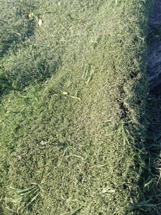 Césped artificial reciclado