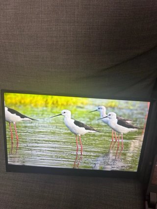 Pantalla Portátil Siaviala 14 Ultra-Fina 332669