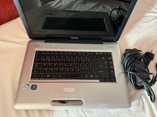 Toshiba Satellite L450 Portátil Plata