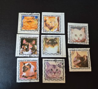 Francobolli Guinea Equatoriale Gatti