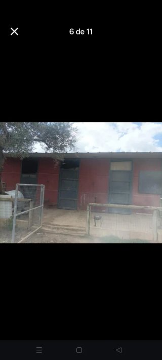 Se alquila  boxes para caballo o alquiler de parce