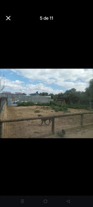 Se alquila  boxes para caballo o alquiler de parce
