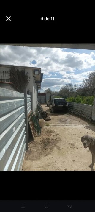 Se alquila  boxes para caballo o alquiler de parce