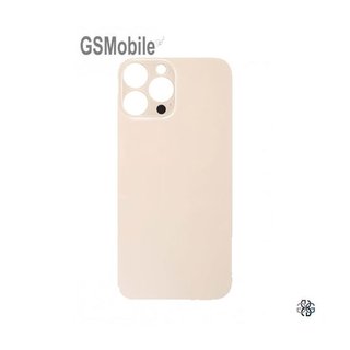 Cover posteriore per iPhone 13 Pro/Tutti i colori