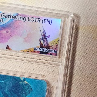 Magic The Gathering LOTR Gradata 10 Art Series 10