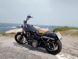 Harley Davidson Street Bob 2006 Negra