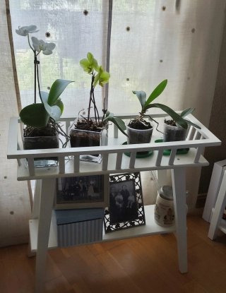Jardinera Blanca Madera y Plástico