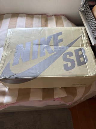 Nike SB Dunk Low Pro x There
