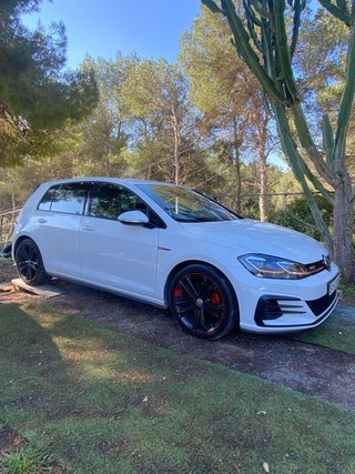 Volkswagen Golf gti 230cv manual
