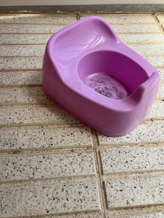 Orinal infantil lila