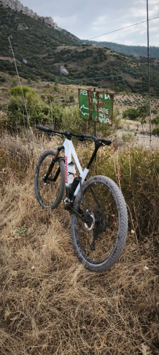 Bici de Montaña Blanca