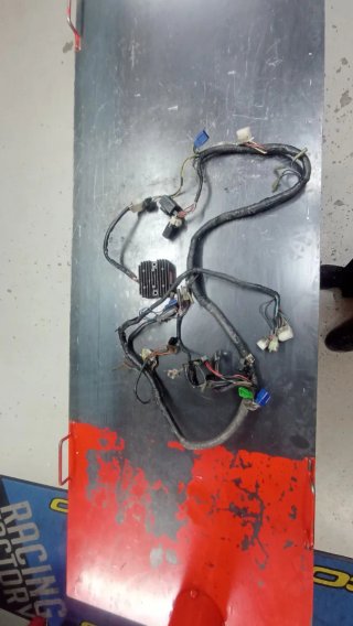 Cableado Yamaha XTZ 660 Tenere 1992 1993