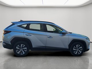Hyundai Tucson 1.6 TGDI 169kW (230CV) HEV Maxx Auto