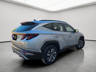 Hyundai Tucson 1.6 TGDI 169kW (230CV) HEV Maxx Auto