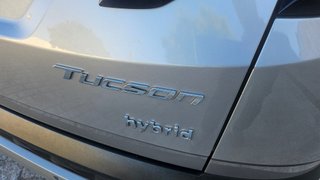 Hyundai Tucson 1.6 TGDI 169kW (230CV) HEV Maxx Auto