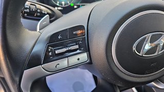 Hyundai Tucson 1.6 TGDI 169kW (230CV) HEV Maxx Auto