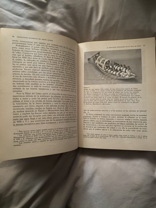Historia económica de Europa
