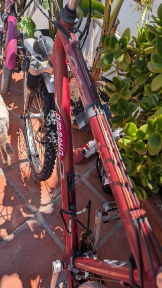 Bicicleta BH para restaurar