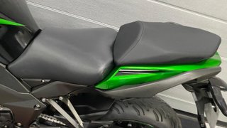 Kawasaki Ninja 1000 SX (2020-2024)