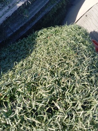 Césped artificial reciclado