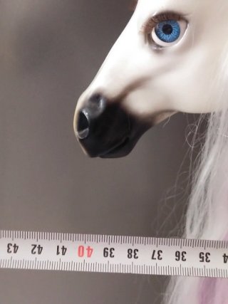 Caballo grande Nancy
