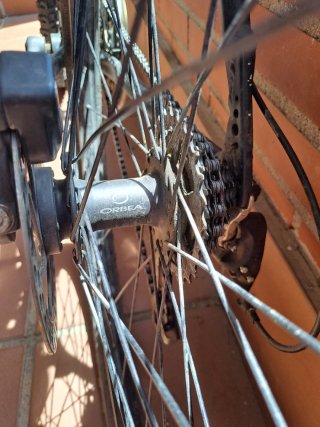 Bicicleta Orbea MTB