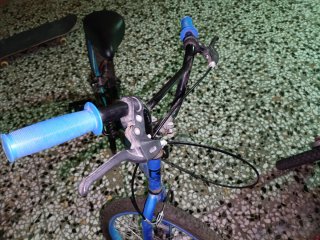 Bicicleta infantil RALI azul