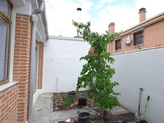 Casa adosada en alquiler en Laguna de Duero
