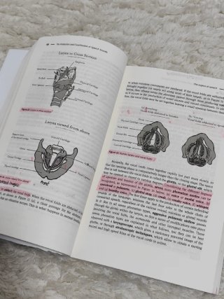 Libro fonética fonología pronunciación inglés