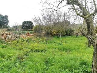 Casa rural en venta en Ciutadella en Ciutadella de Menorca