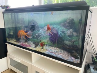 Acuario Pecera 200 litros