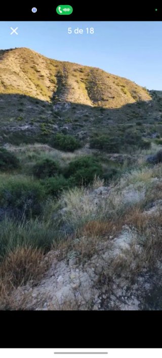 Se vende terreno en aspe