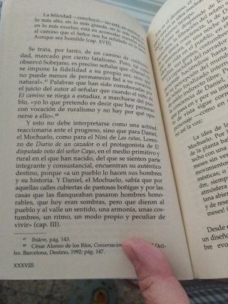 El camino