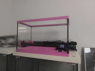 Pecera 18L Rosa