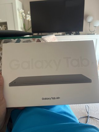 Samsung Galaxy Tab A9+ Gris