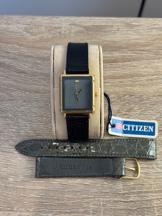 Citizen NOS y Michel Herbelin Newport