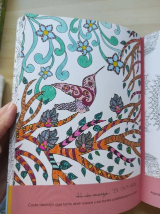 365 mandalas para colorear