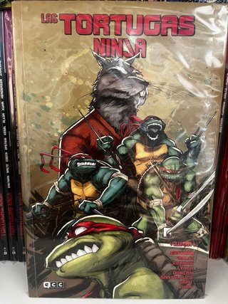 Las Tortugas Ninja ECC completa