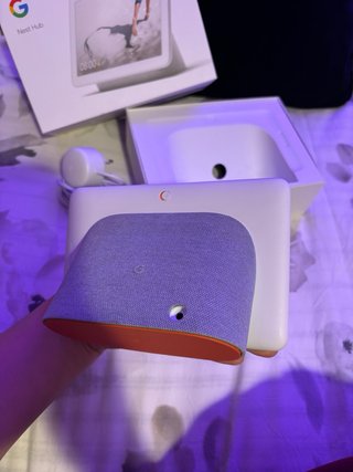 Google Nest Hub 1ª Generación