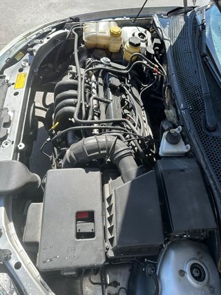Ford Focus Gasolina pegatina B