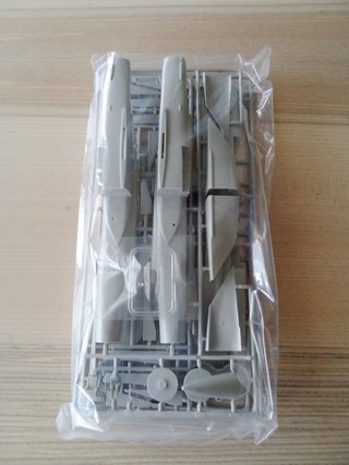 MIG-25 FOXBAT MAQUETA HASEGAWA 1/72