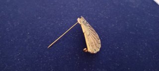 Spilla a ventaglio dorata con dettagli verdi
