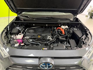 Toyota RAV4 Luxury 4x4 2.5 220H HEV Espectacular!!