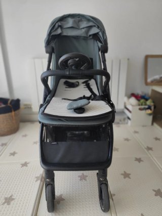 Silla de paseo Easywalker Jackey Forest Green