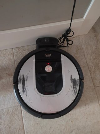Roomba Especial Animales Antigua