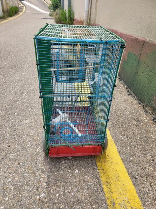 Jaula transporte mascotas con ruedas