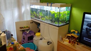 Acuario 240L con mueble blanco
