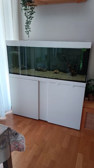 Acuario 240L con mueble blanco